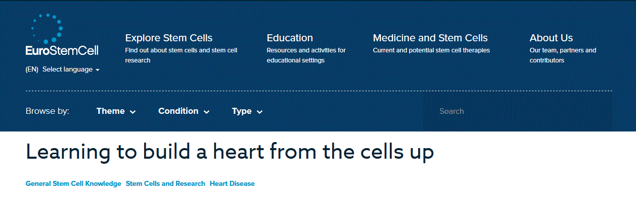 EuroStemCell